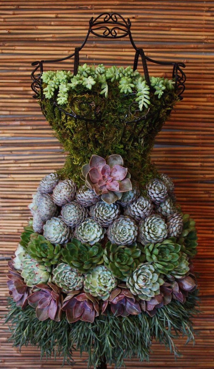 projet diy pour femme, art de jardinage avec fer forgé et plantes succulentes, robe en fer forgé et fleurs vertes