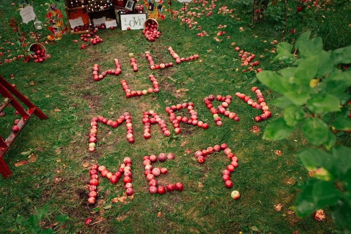 idée message pour mariage veux tu m epouser écrit en pommes rouges sur un gazon dans le jardin, idée proposition automne