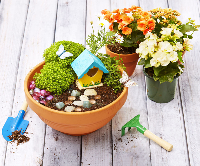 une activité manuelle facile et rapide pour les petits jardiniers, comment fabriquer un mini-jardin de fée