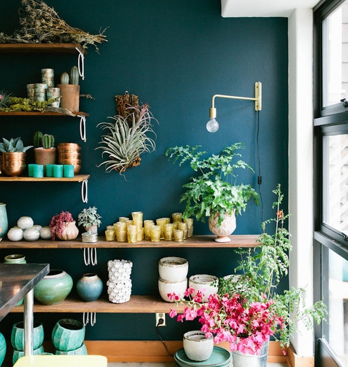 bleu petrole peinture pour un mur d accent, étagères en bois brut, surchargées de plantes, bougies, pots et vases décoratifs, table inox