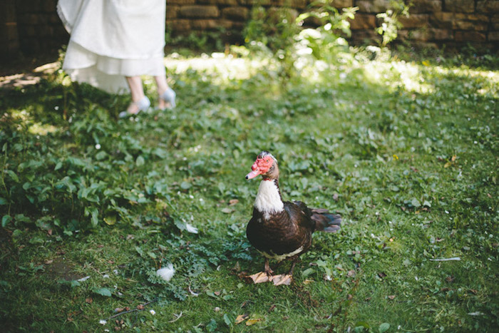 un invité mariage canard sur un gazon vert, idée comment créer une decoration mariage champetre