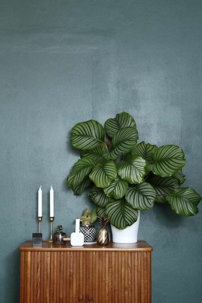 couleur bleu gris dans une entrée avec meuble en bois clair décoré d'un pot de fleut blanc avec plante verte et petit vase blanc avec deux bougeoirs imitation argent avec des bougies blanches