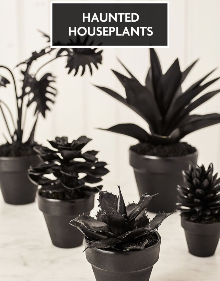 projets diy facile pour Halloween avec plantes artificielles peintes total noir, déco Halloween en noir et blanc