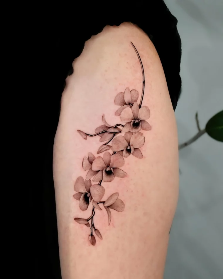 dessin branche tige fleurs petales realistes bras tatouage femme