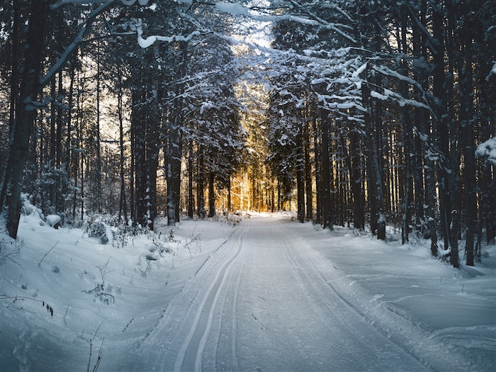 fond d écran hiver, chemin enneigé dans une foret, lumière au fond, paysage montagne