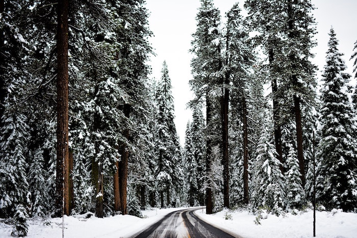 images de noël gratuites, chemin dans une forêt enneigée de conifères, idée de paysage hiver fond ecran