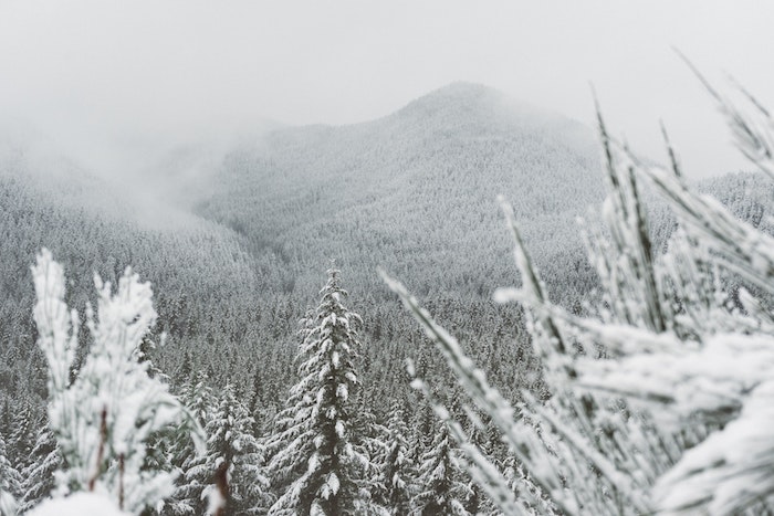 fond d écran paysage hiver, montage enneigée, forêt de conifères, sapins et pins, paysage feerique