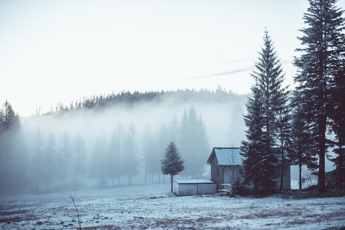 fond ecran paysage hiver, forêt, montagne enveloppé de brouillard, neige sur le sol, petite cabane dans les bois