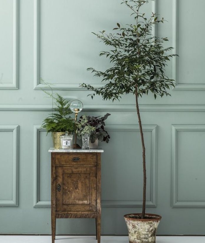 deco mur vert gris vintage avec meuble en bois usé, défraichi, plantes vertes, sol blanc, ambiance retro chic