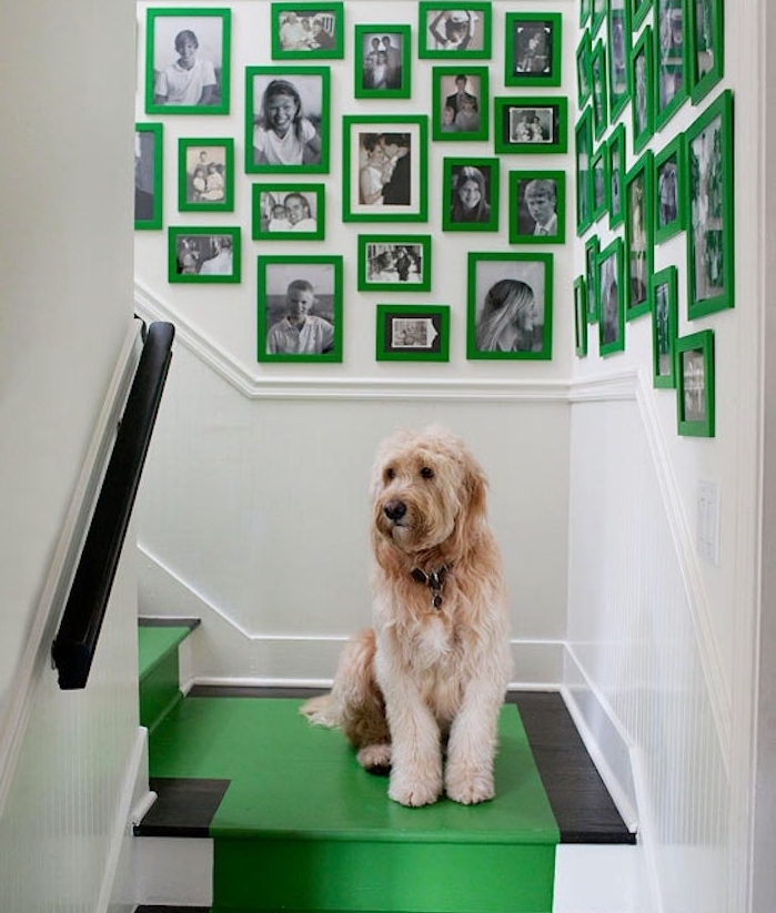 déco montée d escalier en cadres vertes avec des photos de famille en noir et blanc sur un mur blanc, tapis de peintire jaune sur un escalier noir et blanc, chien mignon