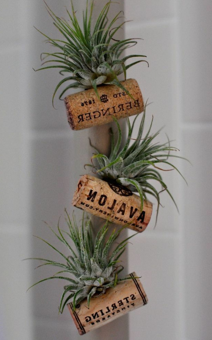 Superbe idée que peut on faire avec des bouchons en liege déco plantes verts miniatures cool idée