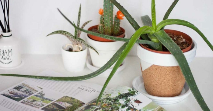 Activité manuelle avec bouchon liege idée déco chambre pot de plante vert cactus photo déco de bureau organisation