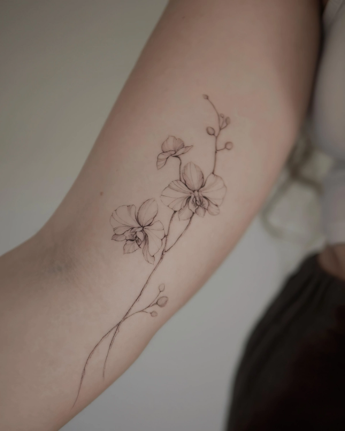 tatouage discret femme bras tige orchidee bourgeons fleurs