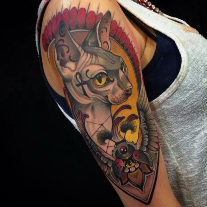 tatouage manchette sphynx, chat gris et fond coloré en rouge et jaune