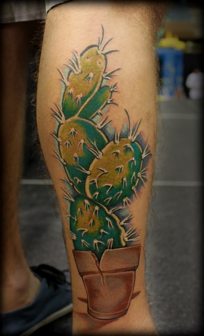 tatouage mollet homme, cactus en vert et jaune, grandes aiguilles et pot cassé