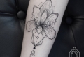 Tatouage orchidée – le désir à fleur de peau