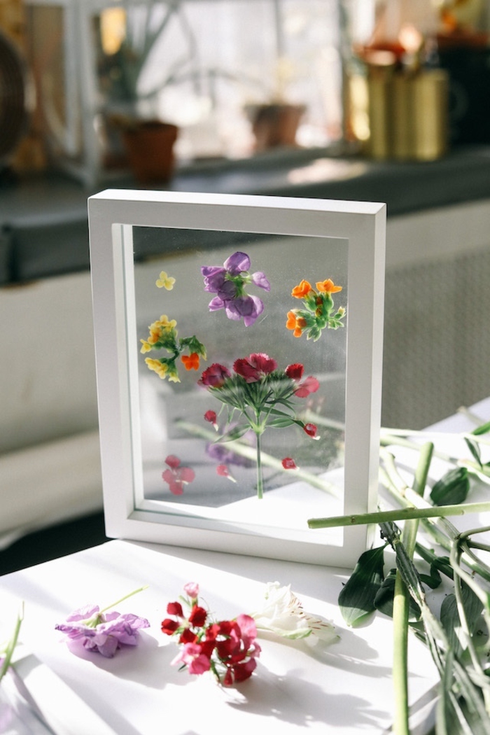 idée pour un cadre vegetal flottant réalisé avec de jolies fleurs séchées pour une touche déco nature dans l'intérieur