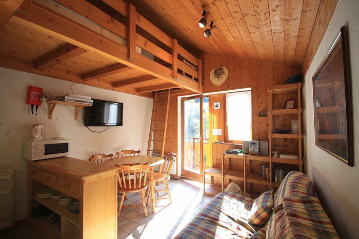 joli peti studio avec un lit mezzaine avec petite échelle, plafond en bois