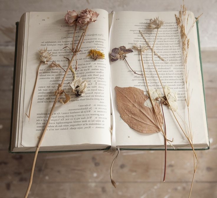 réaliser un herbier vintage à l'aide des livres lourds, idée pour une déco inspirée des collections botaniques vintage