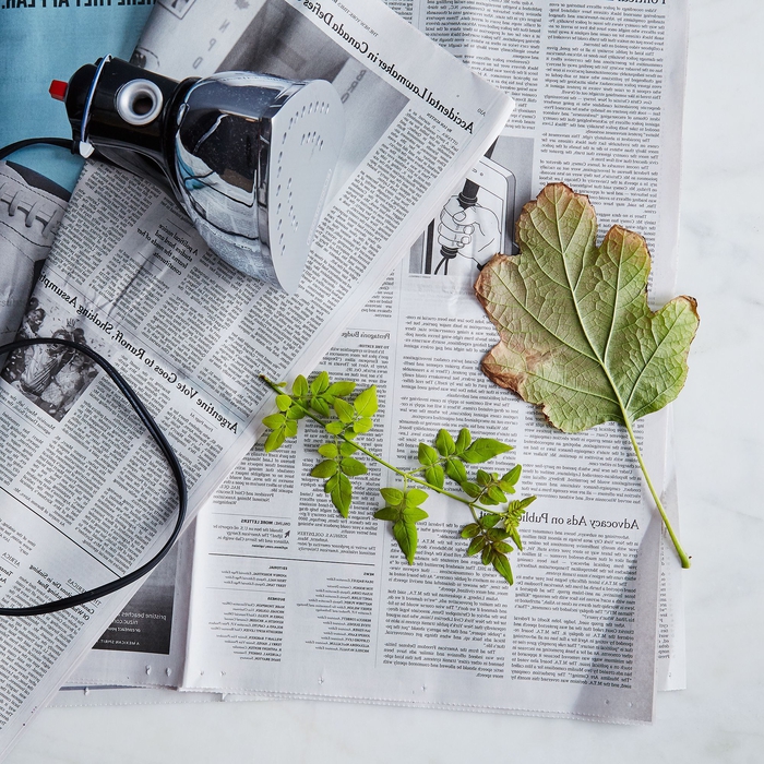 1001 Idées Comment Faire Un Herbier Original Avec Des - 