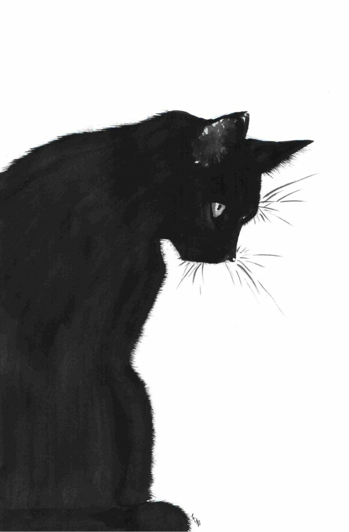 Chat Noir Et Blanc Dessin