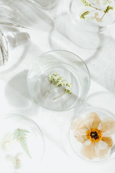 fond de verre décoré de fleurs pressées faire un herbier pour customiser des verres et des carafes