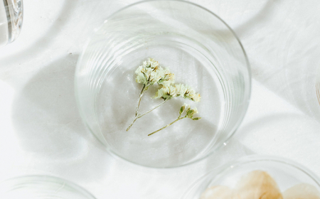 fond de verre décoré de fleurs pressées faire un herbier pour customiser des verres et des carafes