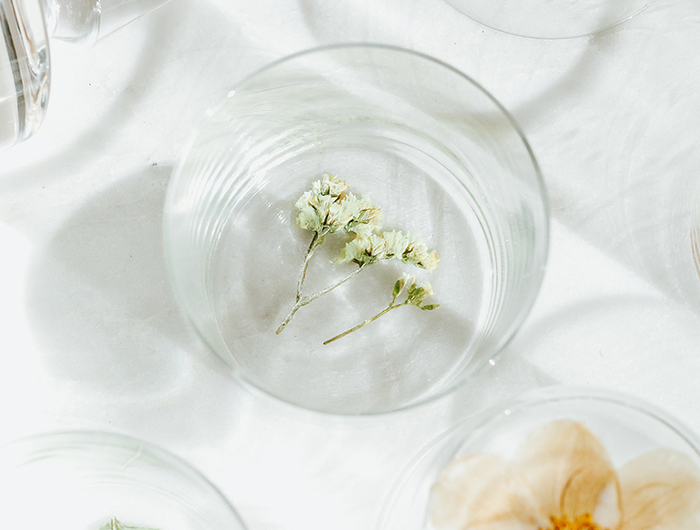fond de verre décoré de fleurs pressées faire un herbier pour customiser des verres et des carafes