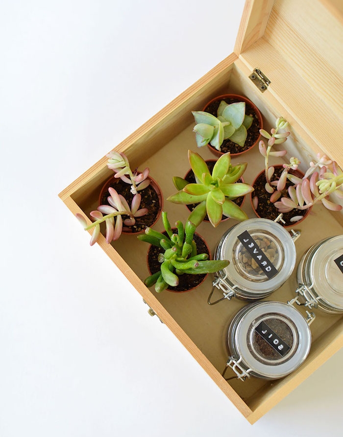 idée cadeau noel maman, une boite en bois avec des pots de succulents et sol dans des pots en verre