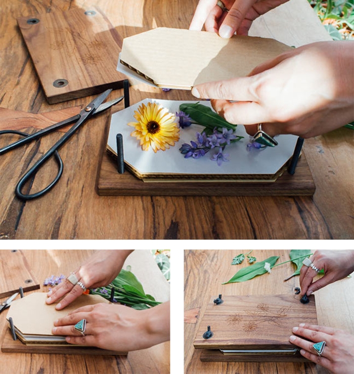 technique de pressage des fleurs avec une presse-fleurs diy vintage pour réaliser un herbier