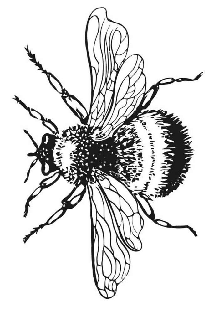 Peinture dessin noir et blanc a imprimer exemple en photo de dessin bug