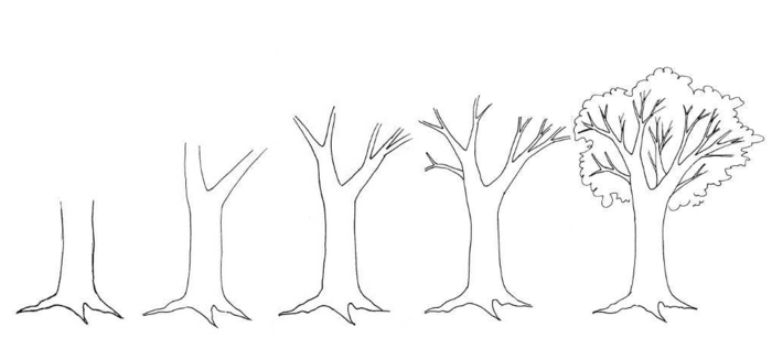 Apprendre le dessin pas a pas dessin de feuille d arbre, comment dessiner une branche d'arbre