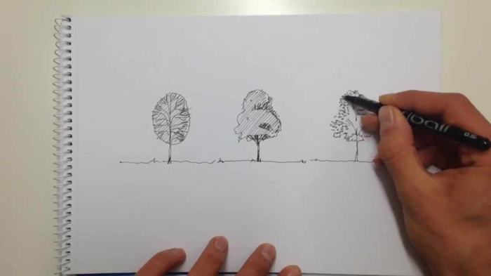 Arbre a dessiner beau dessin facil à réaliser dessin arbre chane evolution de dessin