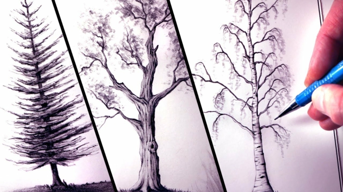 Idée dessin arbre simple dessin tronc arbre croquis arbre dessin noir et blanc