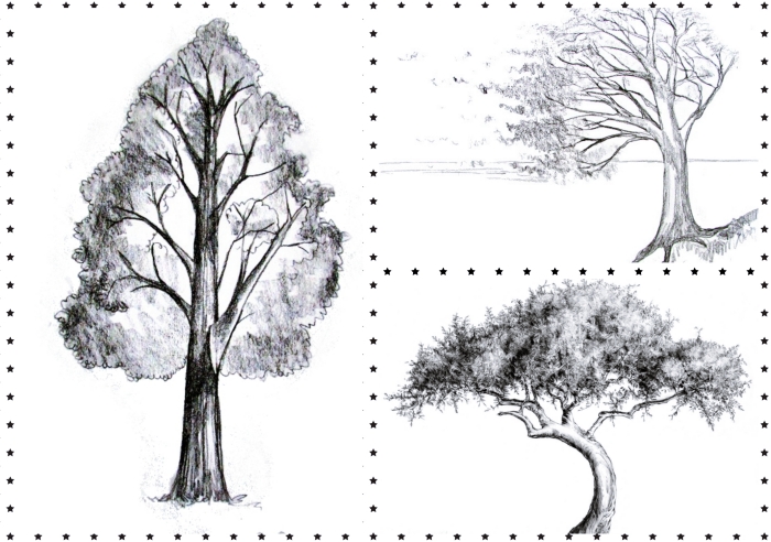 modèles de différents types d arbre à dessiner facilement, idée comment dessiner un arbre facile sans feuilles, apprendre à dessiner un arbre