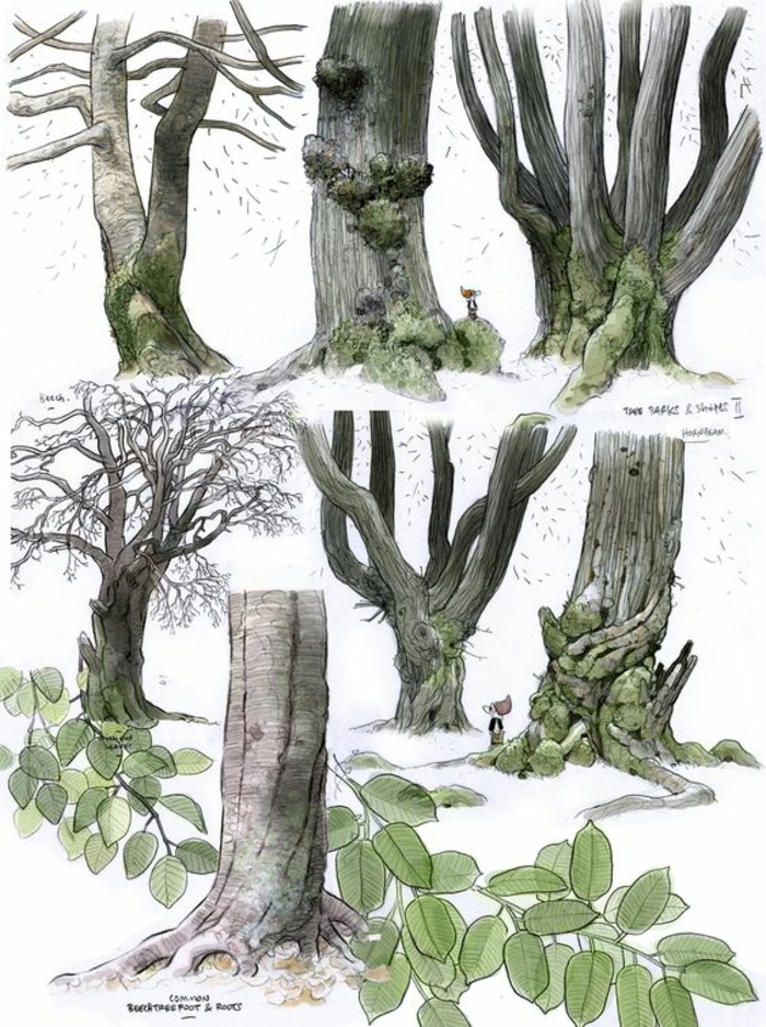 1001 Idees Pour Dessiner Un Arbre Merveilleux Avec Exemples