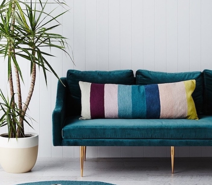 modele de canapé design en bleu canard et velours, coussins colorés, palmier dans un pot de fleur, fond blanc