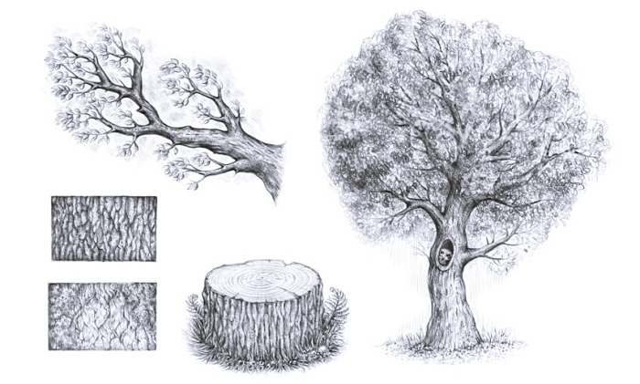 1001 Idees Pour Dessiner Un Arbre Merveilleux Avec Exemples