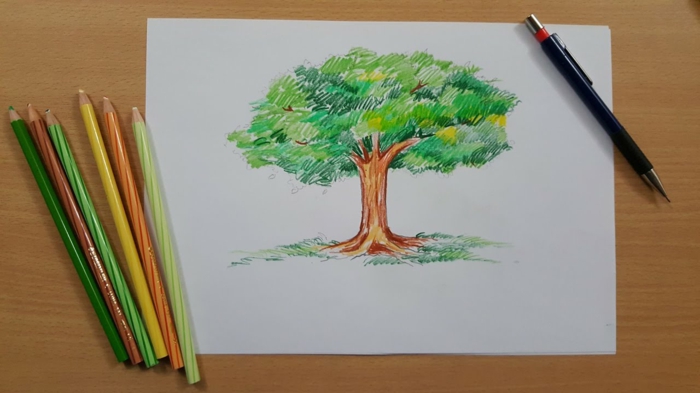 Dessin d arbre en hiver dessin branche arbre dessins d arbres coloré