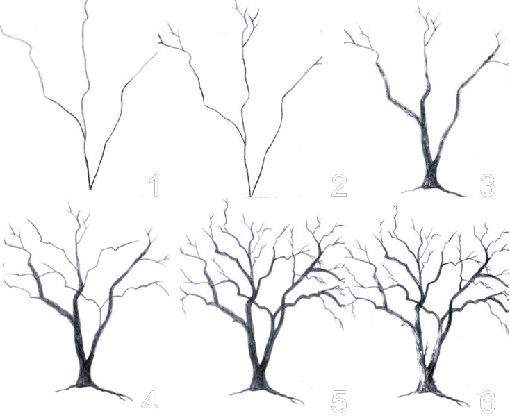 dessin d'arbre sans feuille a imprimer - Recherche Google