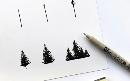 dessiner un sapin realiste foret