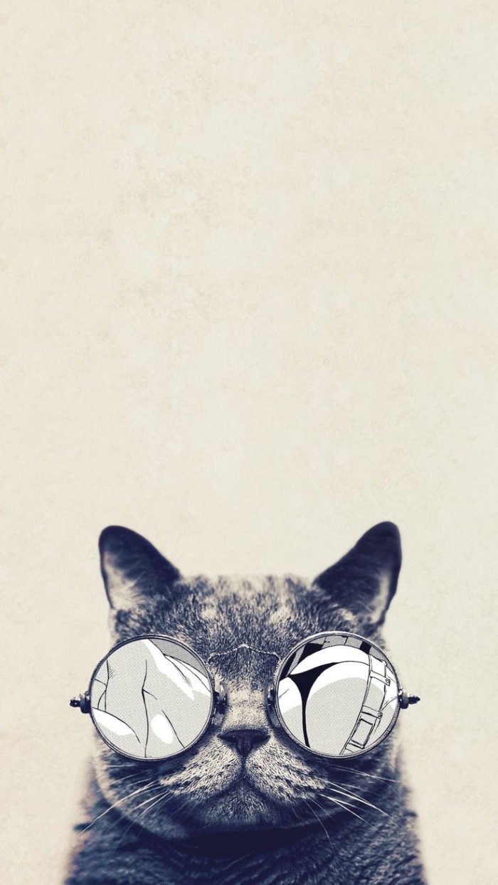 fond d'écran portable, photo blanc et noir avec chat rigolo aux lunettes de soleil rondes