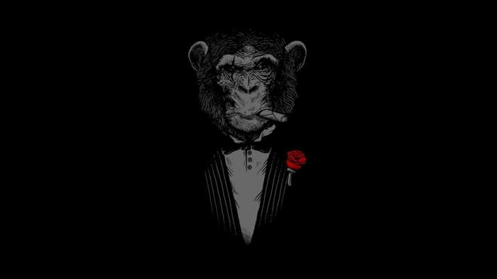 fond d'écran hd noir et blanc, photo amusante noire avec silhouette singe homme d'affaire