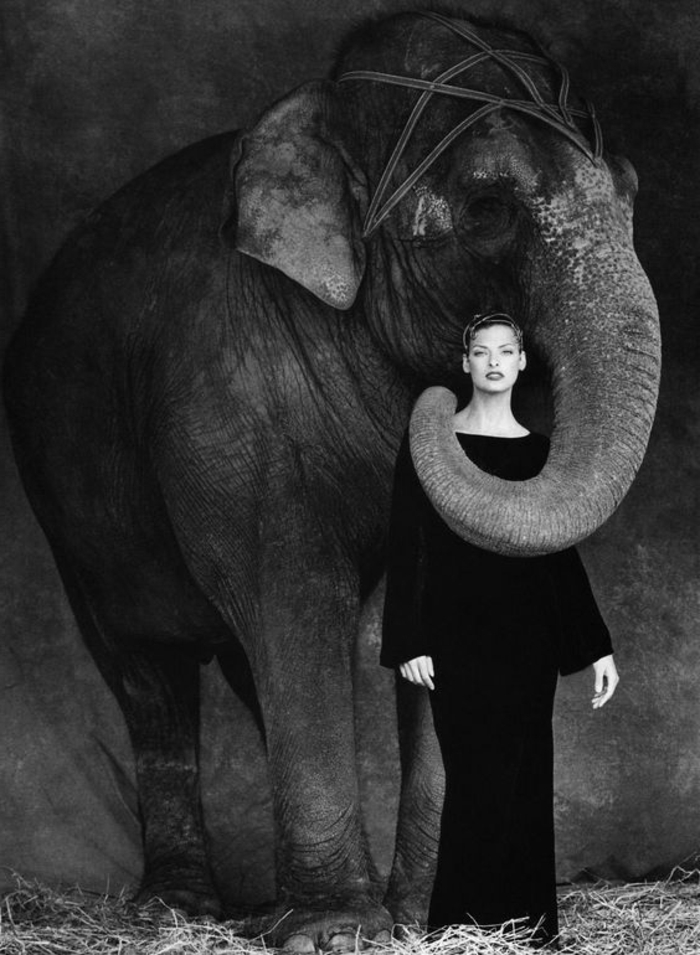 photos noir et blanc, photo femme mannequin Linda Evangelista, qui pose avec un éléphant, qui a enveloppé sa trompe autour de la tête de la femme 