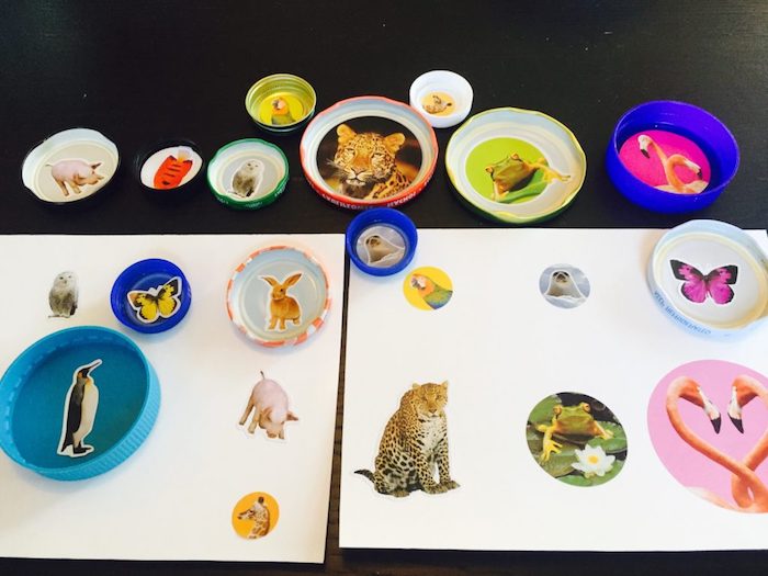jeu d association activite enfant 3 ans, bouchons de bouteilles avec des photos d animaux collés sur le fond et des stickers animaux sur papier à associer