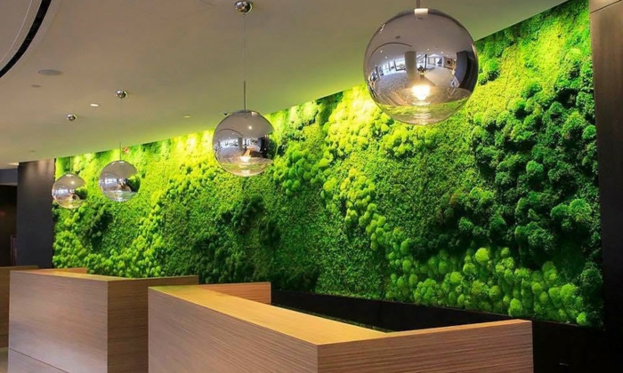 jardin végétal intérieur, lampes pendants eondes couleur métallique, mur en mousse verte