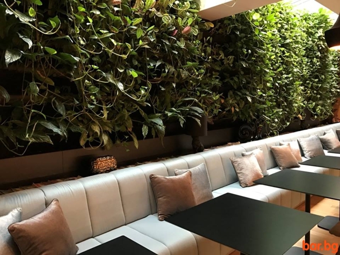 mur végétal intérieur, plantes vivantes cultivées verticalement, café avec tables noires et sofa taupe