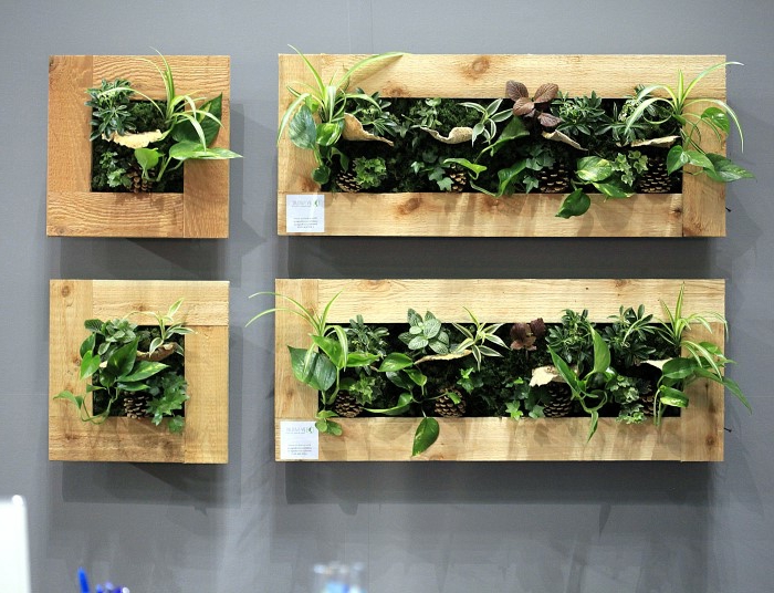 panneaux végétalisés en bois clair décorés avec cônes, compositions de cadres verts
