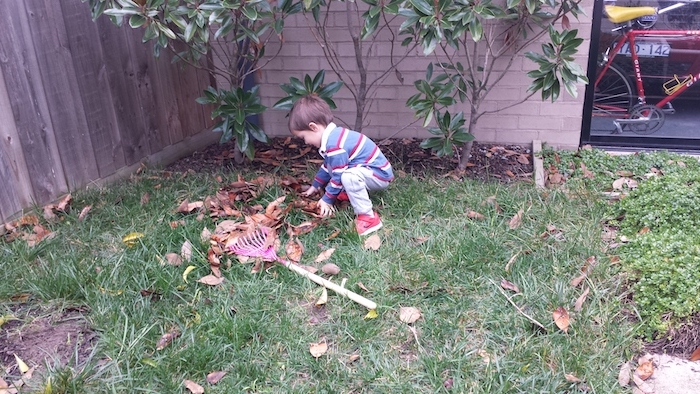 méthode montessori, apprendre à nettoyer un jardin, ramasser les feuilles mortes, activité manuelle maternelle vie pratique