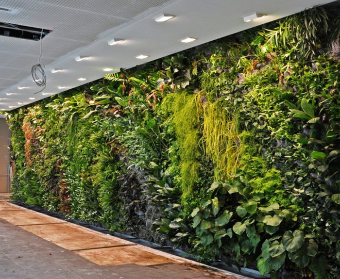mur végétal intérieur dans un couloir, lampes au-dessus du jardin vertical